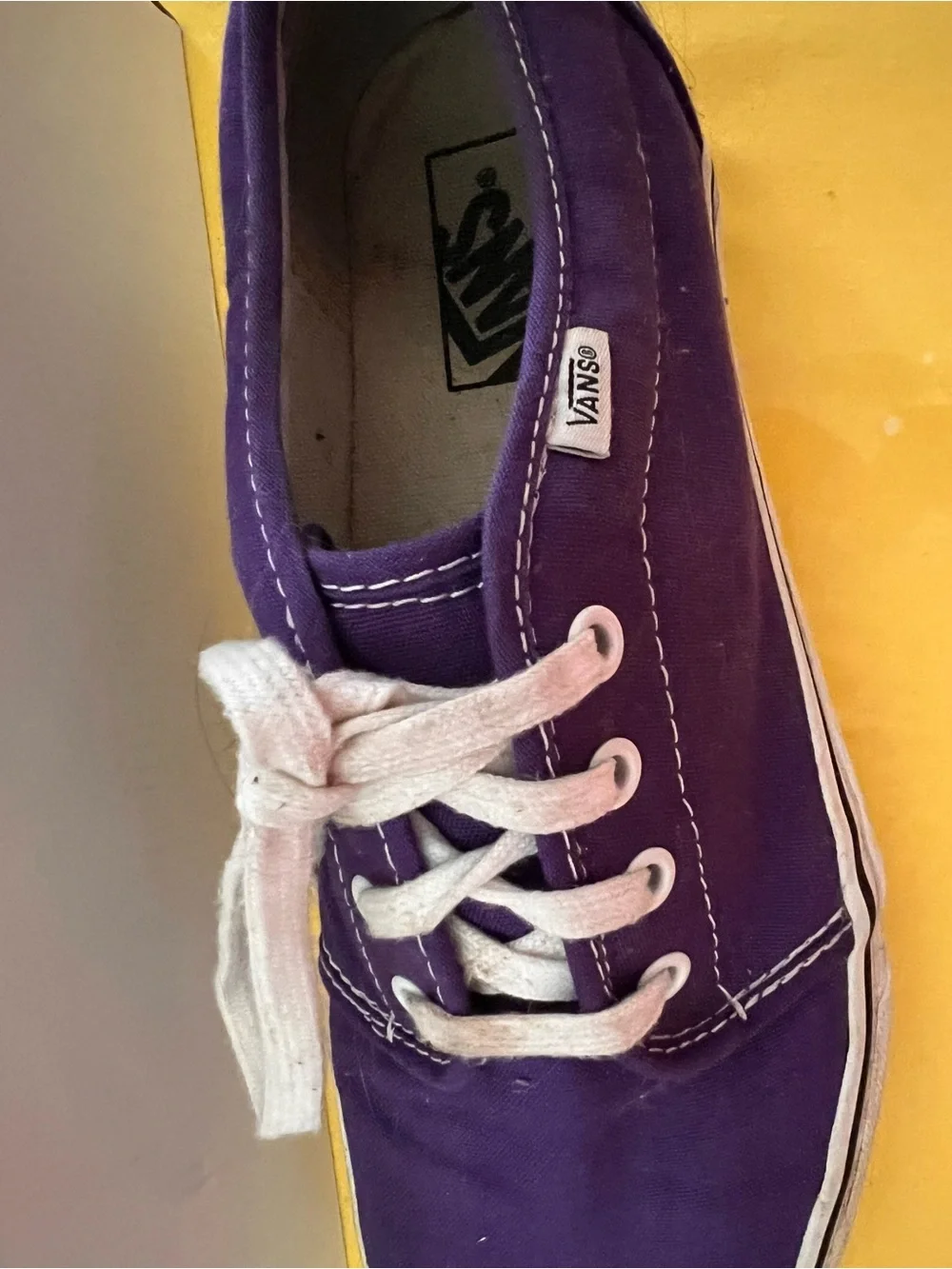 Vans Men’s Authentic Canvas Sneaker - Purple with White Laces